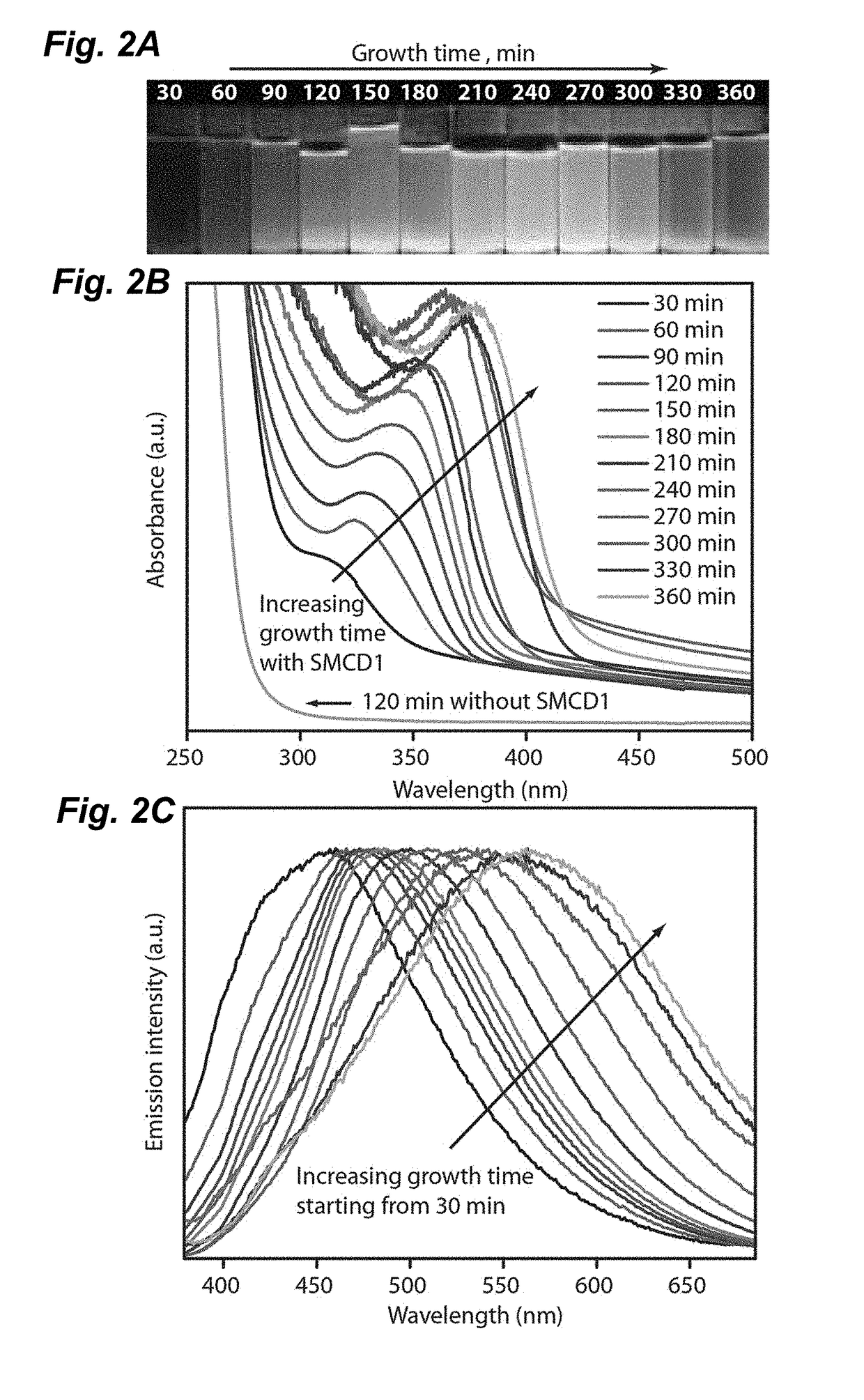 Isolated enzymatic manufacture of semiconductor nanoparticles