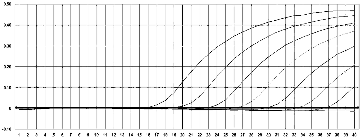 Oligonucleotide, method and kit for detecting NonO-TFE3 fusion gene in sample