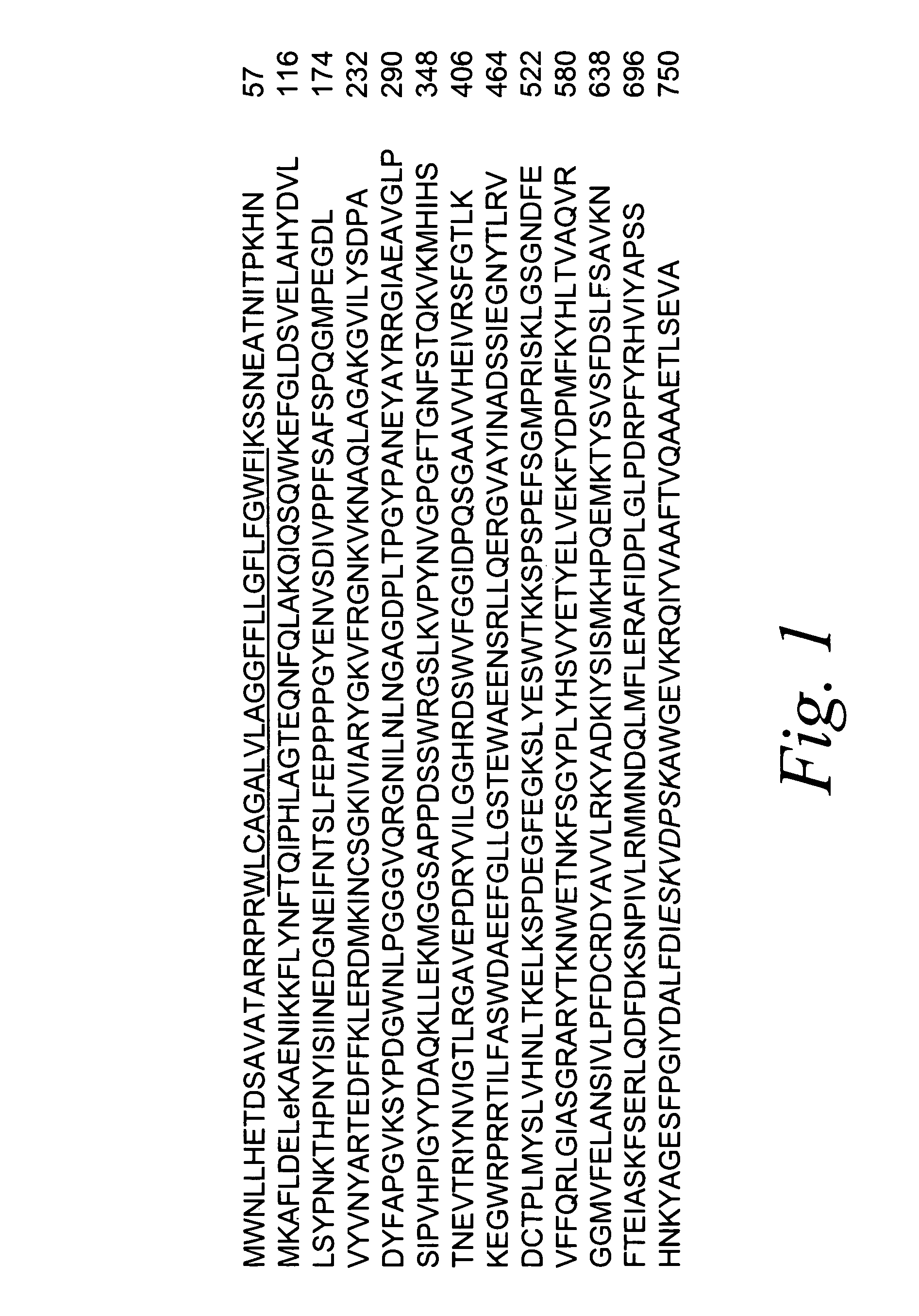 Monoclonal antibodies specific for the extracellular domain of prostate-specific membrane antigen