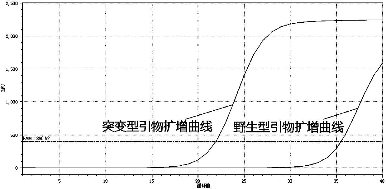 Primers and method for detecting related gene SNP (single nucleotide polymorphism) sites of metformin-individualized medications