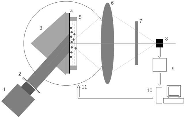 Method and device for fluorescence detection of label-free micro-nano particles