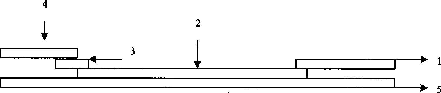 Test paper strip for rapidly detecting brucellosis IgM antibody colloidal gold