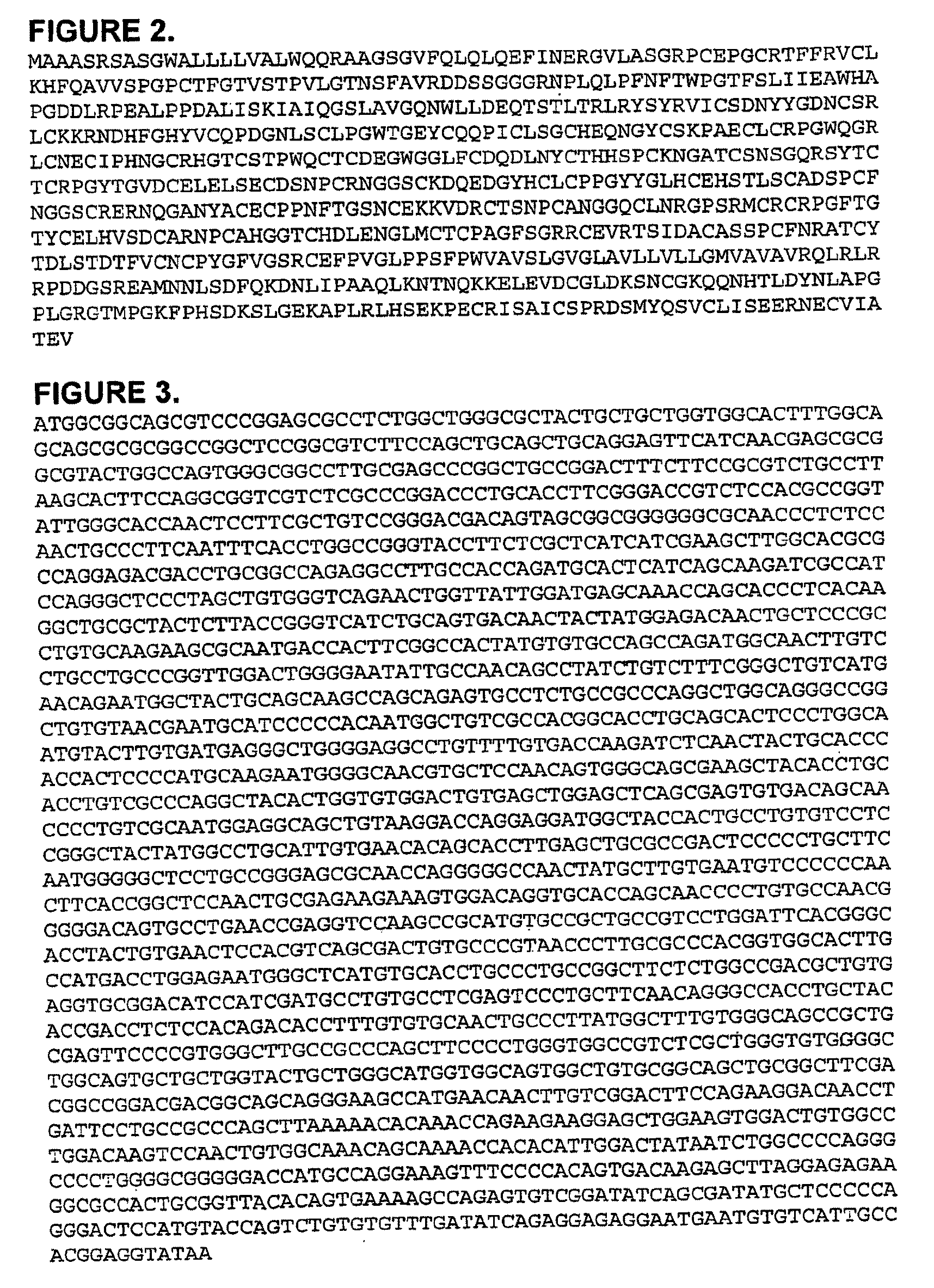 DLL4 Signaling Inhibitors and Uses Thereof