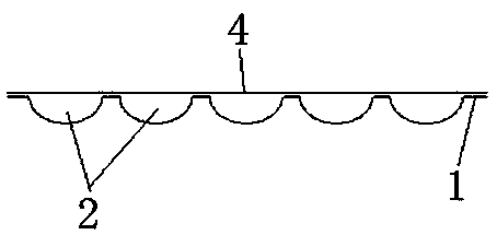 A kind of immunoassay blister board