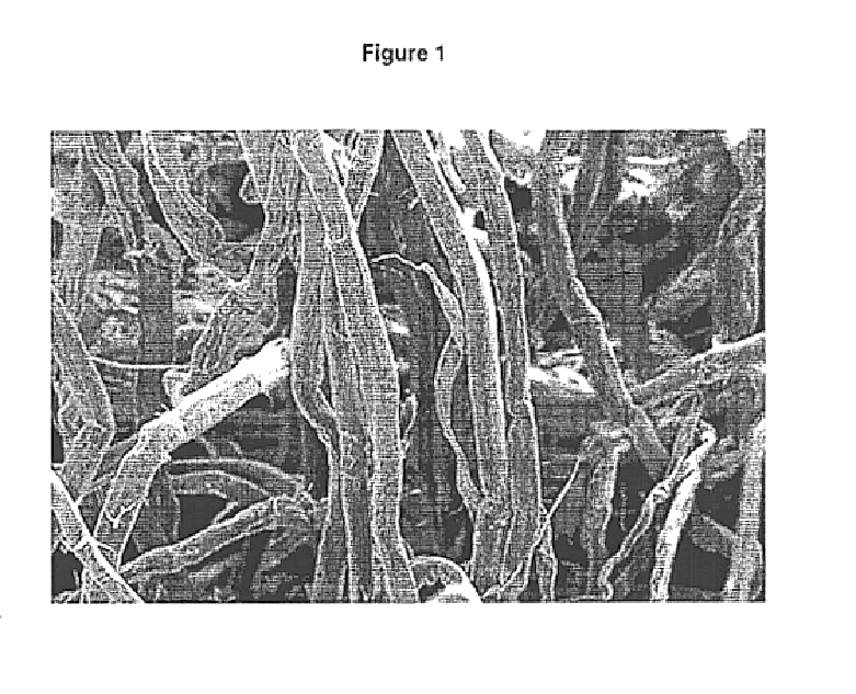 Superabsorbent cellulosic fiber and method of making same