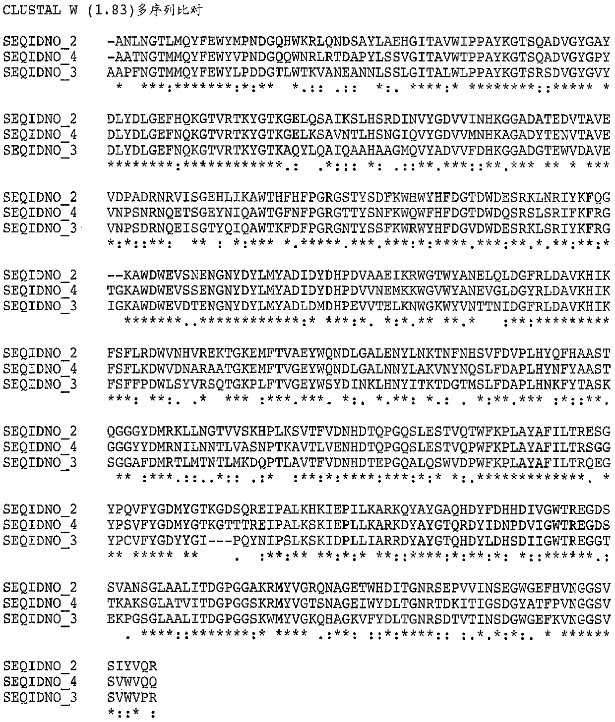 Variant alpha amylases with enhanced activity on starch polymers