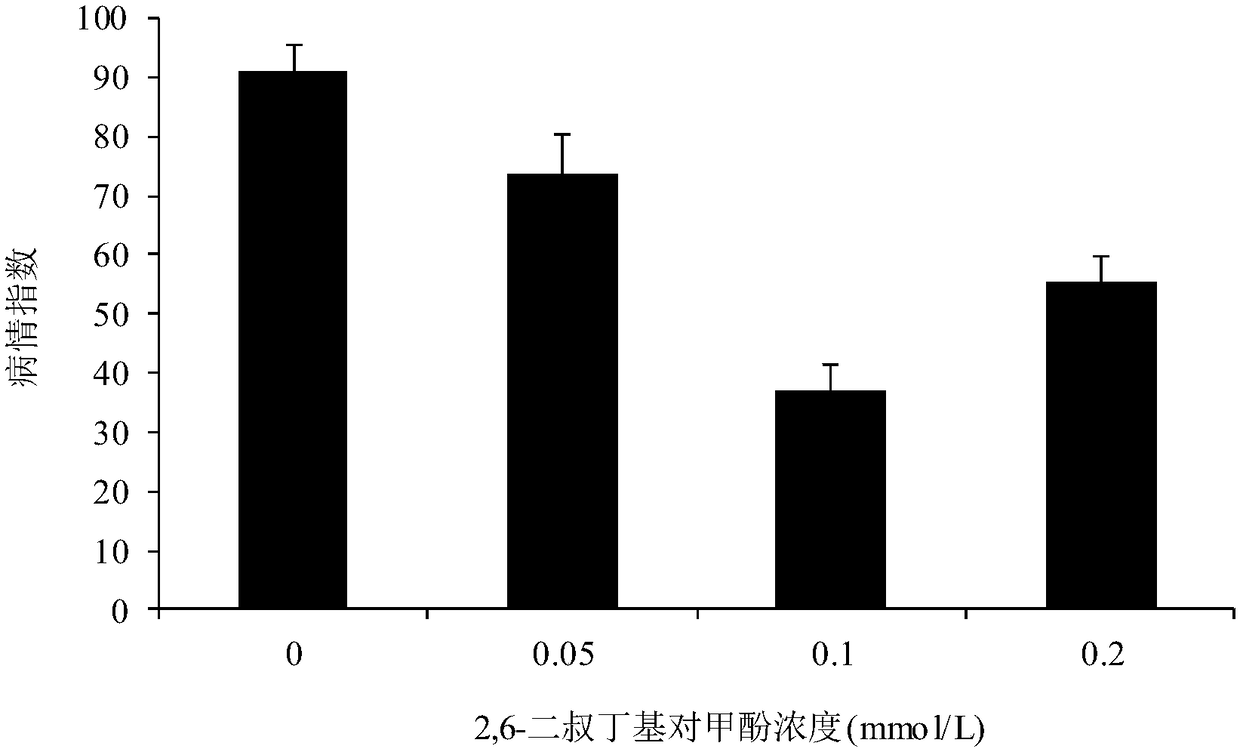 Application of 2,6-di-tert-butyl-p-cresol as plant disease-resistant activator in apple leaf part