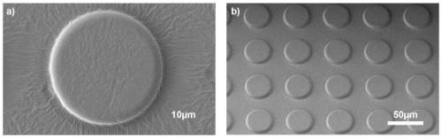 Perovskite micro-ring resonator array, preparation method and application thereof