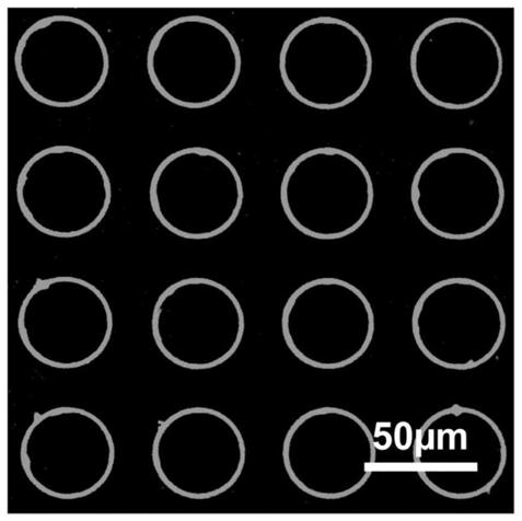 Perovskite micro-ring resonator array, preparation method and application thereof