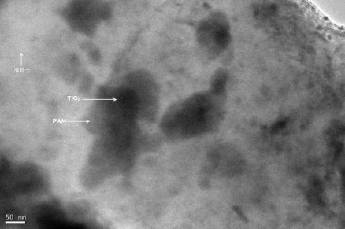 Efficiently-degradable oil sand tailing flocculating agent and preparation method thereof