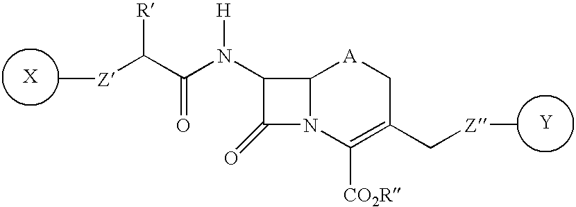 Tandem fluorescent protein constructs