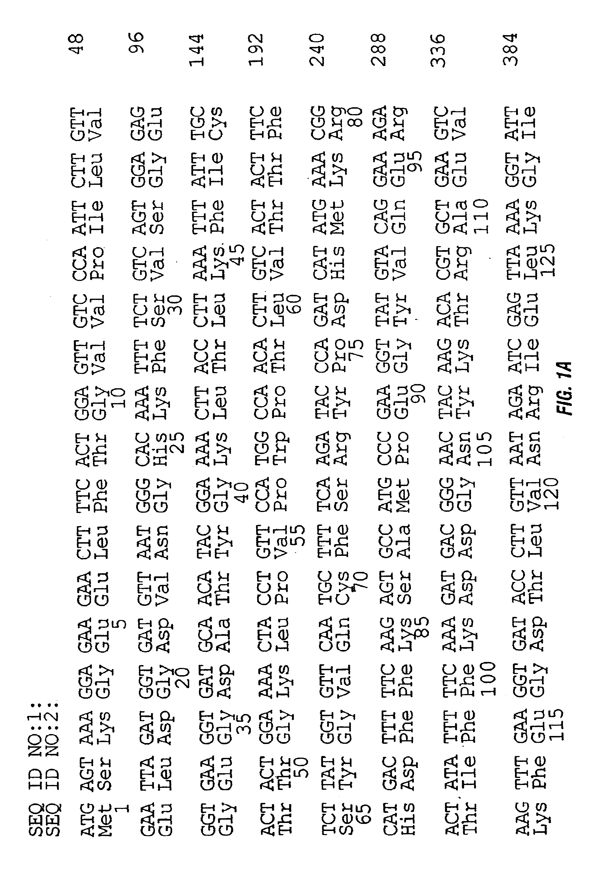 Tandem fluorescent protein constructs