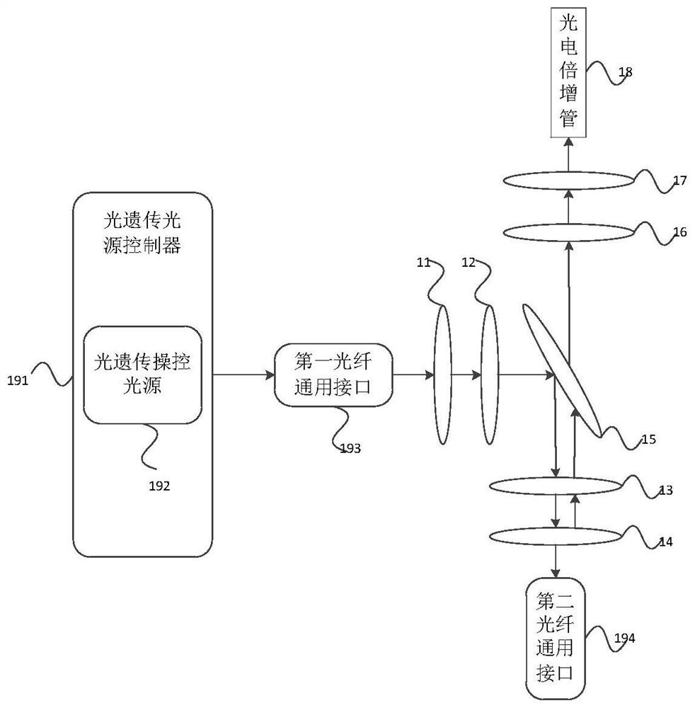 Fluorescence collection device, miniature two-photon microscope and two-photon imaging method