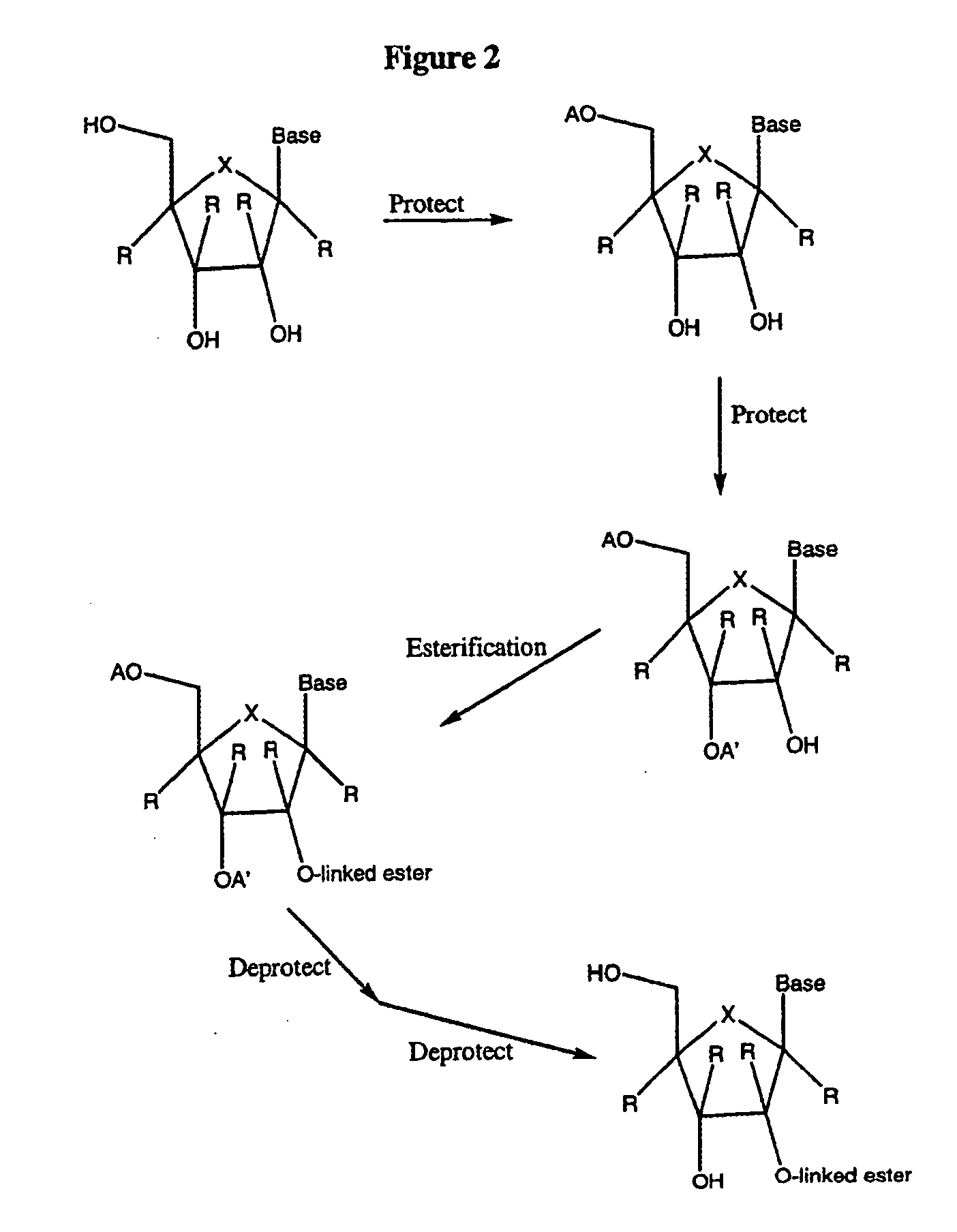 2' and 3'-nucleoside prodrugs for treating Flaviviridae infections