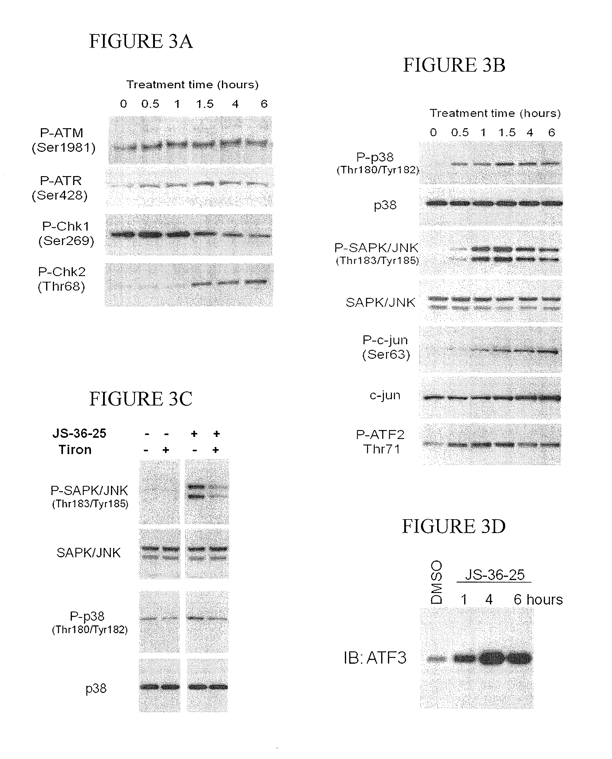 Diazeniumdiolated compounds, pharmaceutical compositions, and method of treating cancer