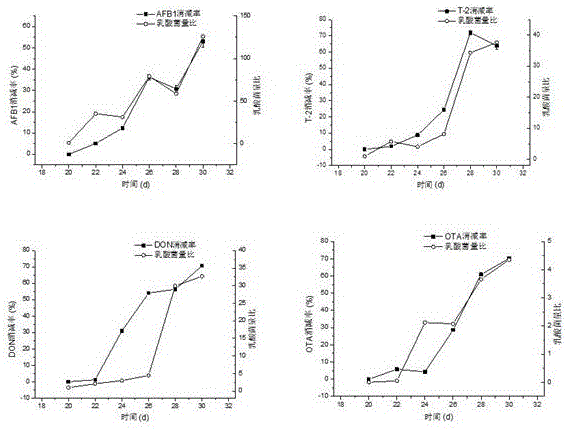 Method for degrading fungal toxins in animal bodies through lactobacillus acidophilus