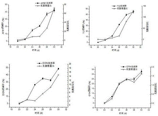 Method for degrading fungal toxins in animal bodies through lactobacillus acidophilus