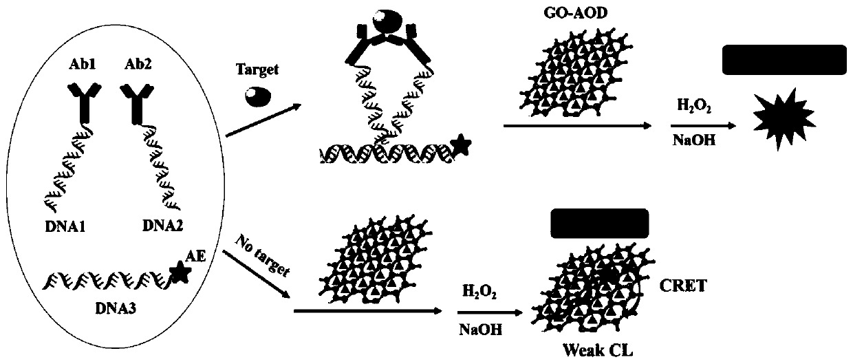 Kit for detecting canine pancreatic lipase based on homogeneous chemiluminescence immunoassay method