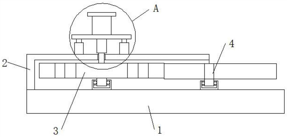 A directional feeding structure for young sheep in captivity