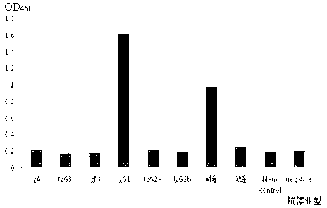 Hybridoma cell strain, anti-salbutamol monoclonal antibody generated by hybridoma cell strain and application