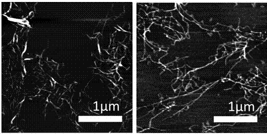 A method for preparing cellulose nanofibers