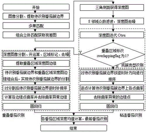 Binocular stereoscopic vision based clustered tomato identification method