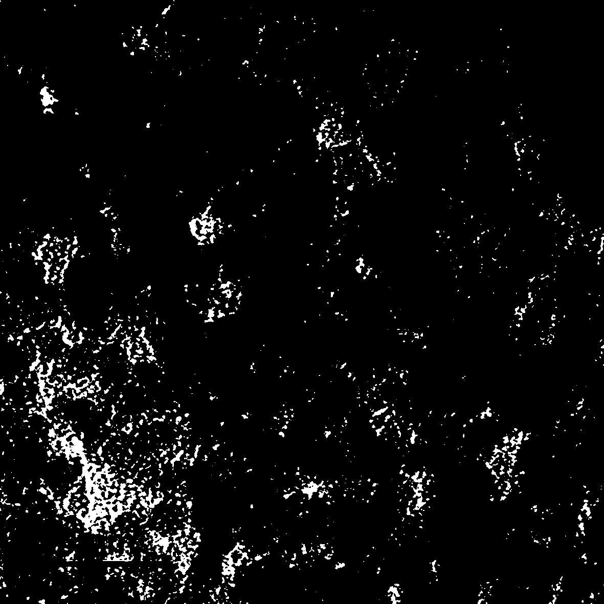 Preparation method of ZnO/GQD-PEI composite quantum dot antibacterial agent