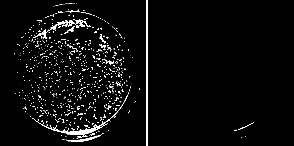 Preparation method of ZnO/GQD-PEI composite quantum dot antibacterial agent