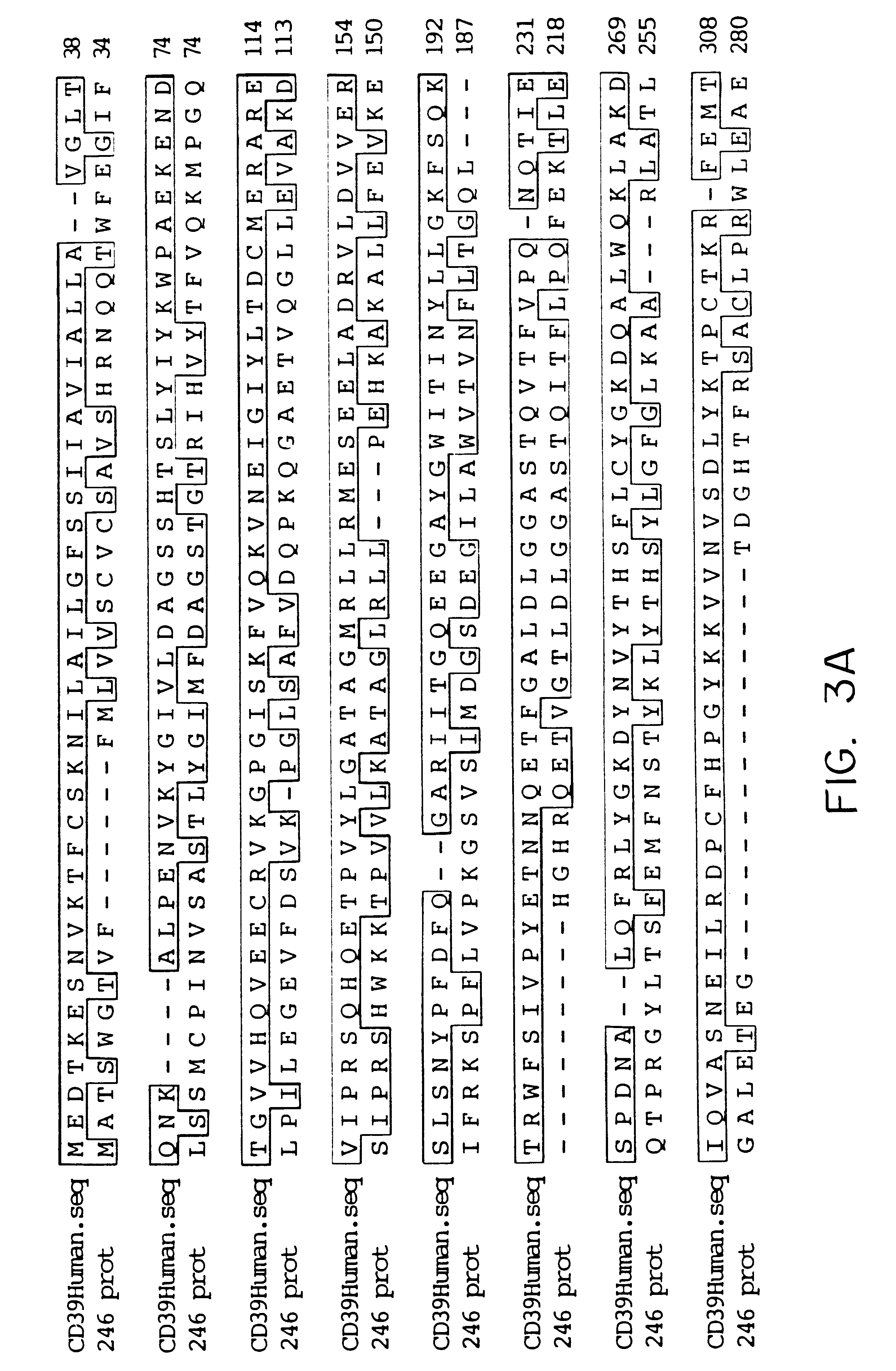 Methods and materials relating to novel CD39-like polypeptides