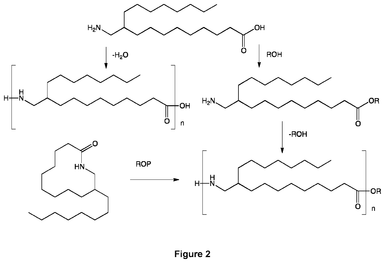 Derivatives of 10-methylene lipids, process for preparing such derivatives and use thereof