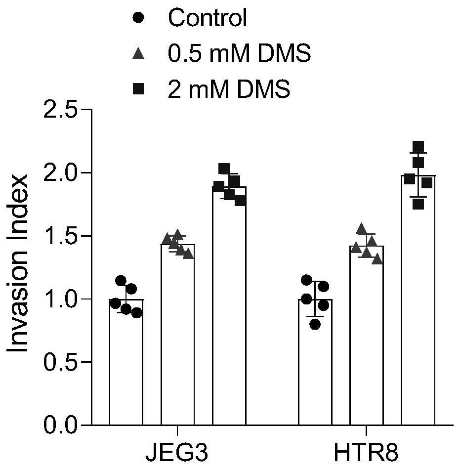 Application of succinic acid in diagnosis or treatment of spontaneous abortion