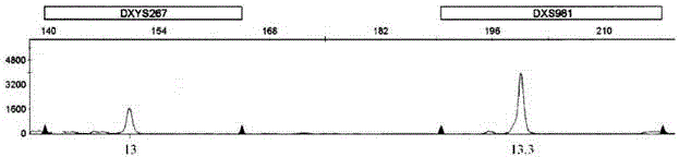 Kit for detecting aneuploidy of five human chromosomes through monotube multiple amplification