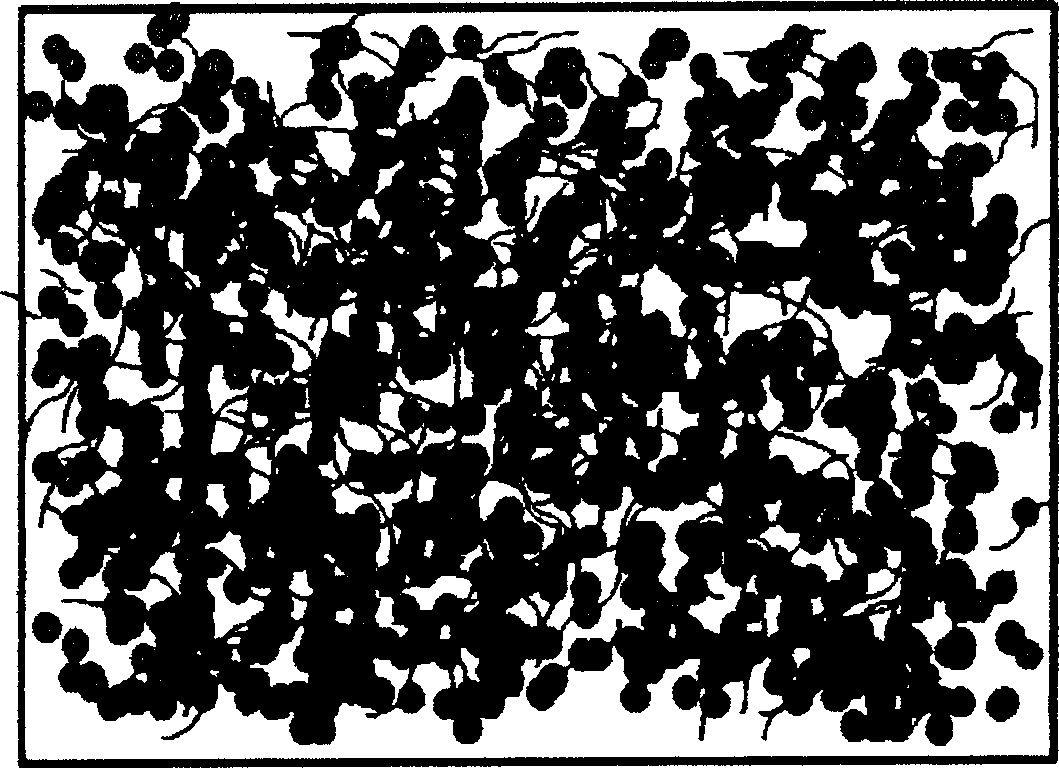 Silver colloid material with high heat transfer efficiency and preparation thereof