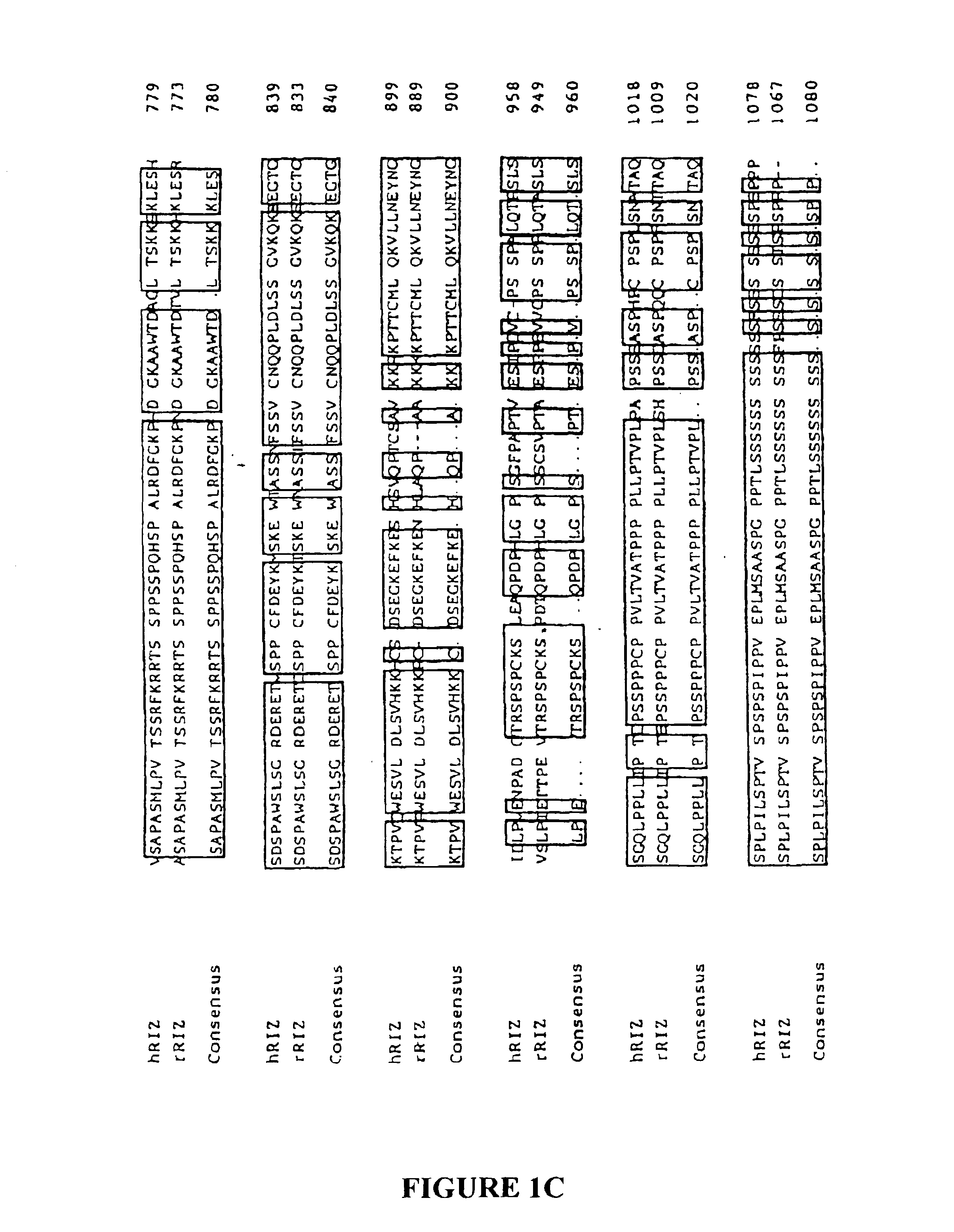 Methods of detecting and treating microsatellite-instability positive tumors using RIZ