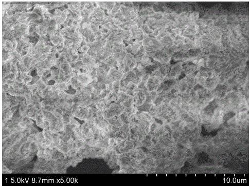 Method for achieving aggregation of waste incineration fly ash through microorganism mineralization