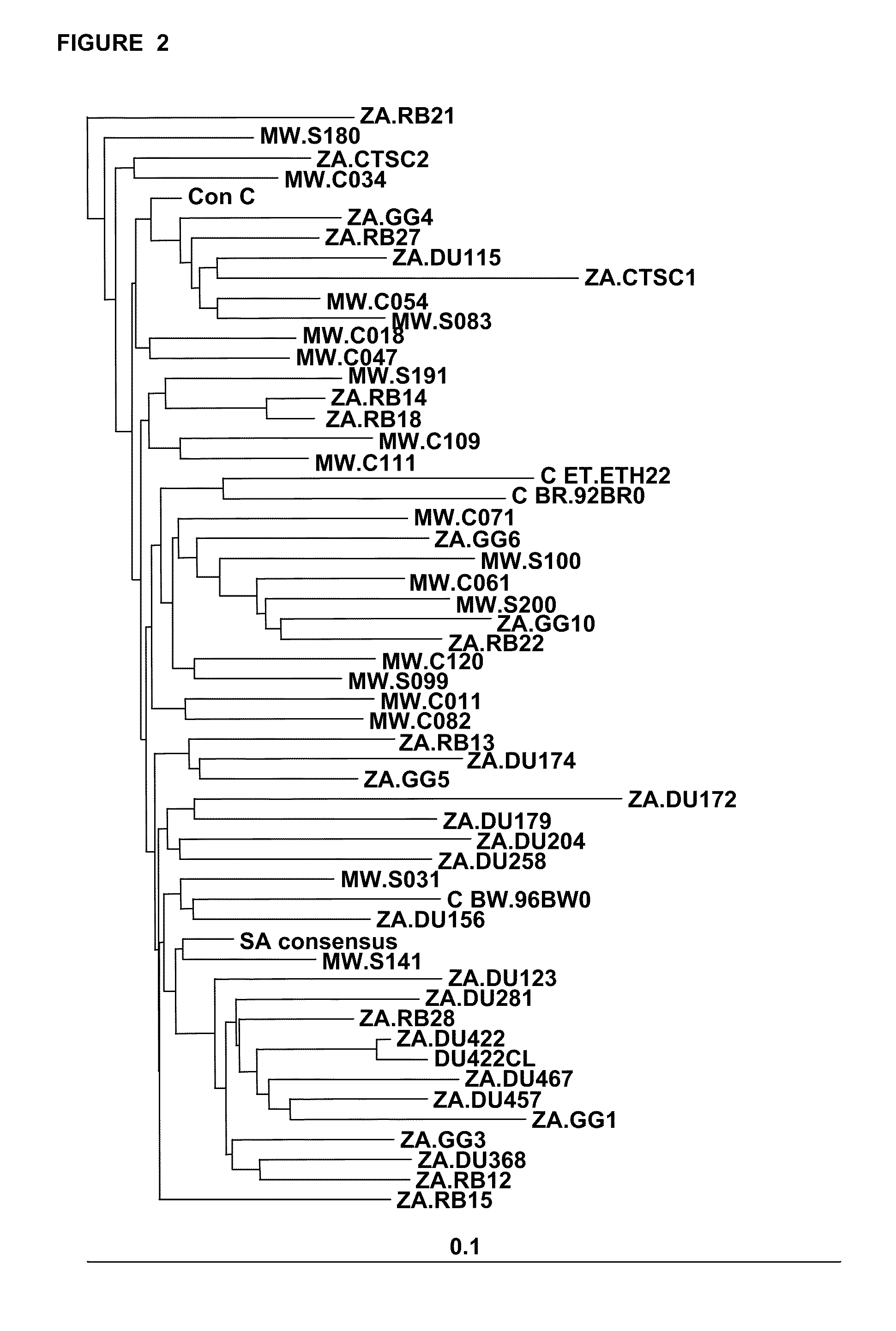 Process for the Selection of HIV-1 Subtype C Isolates, Selected HIV-1 Subtype Isolates, Their Genes and Modifications and Derivatives Thereof