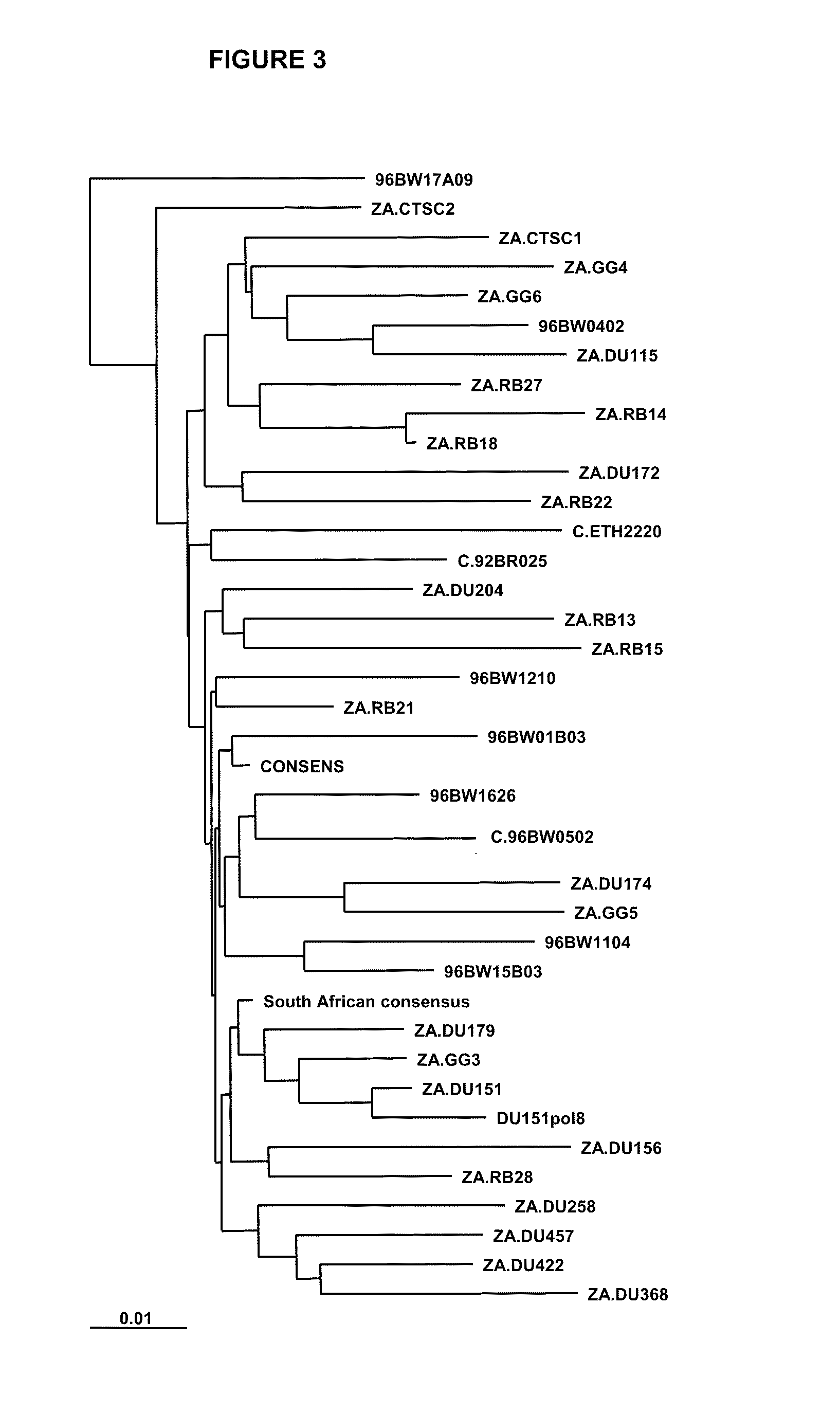 Process for the Selection of HIV-1 Subtype C Isolates, Selected HIV-1 Subtype Isolates, Their Genes and Modifications and Derivatives Thereof