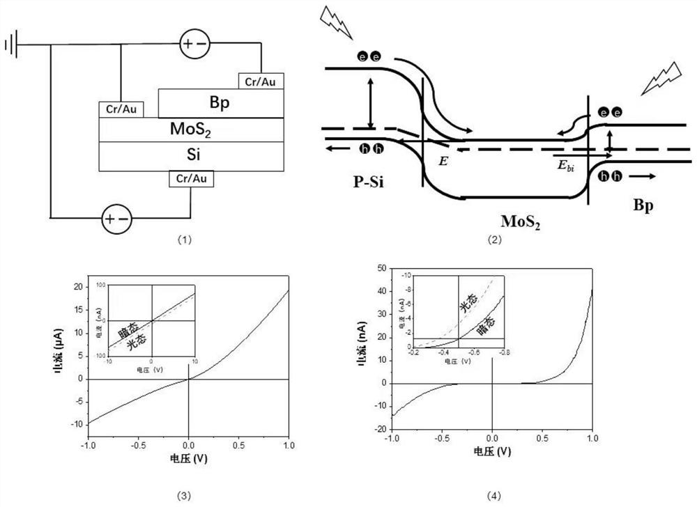 Mixed-dimension Van der Waals heterojunction room temperature two-color infrared detector and preparation method thereof