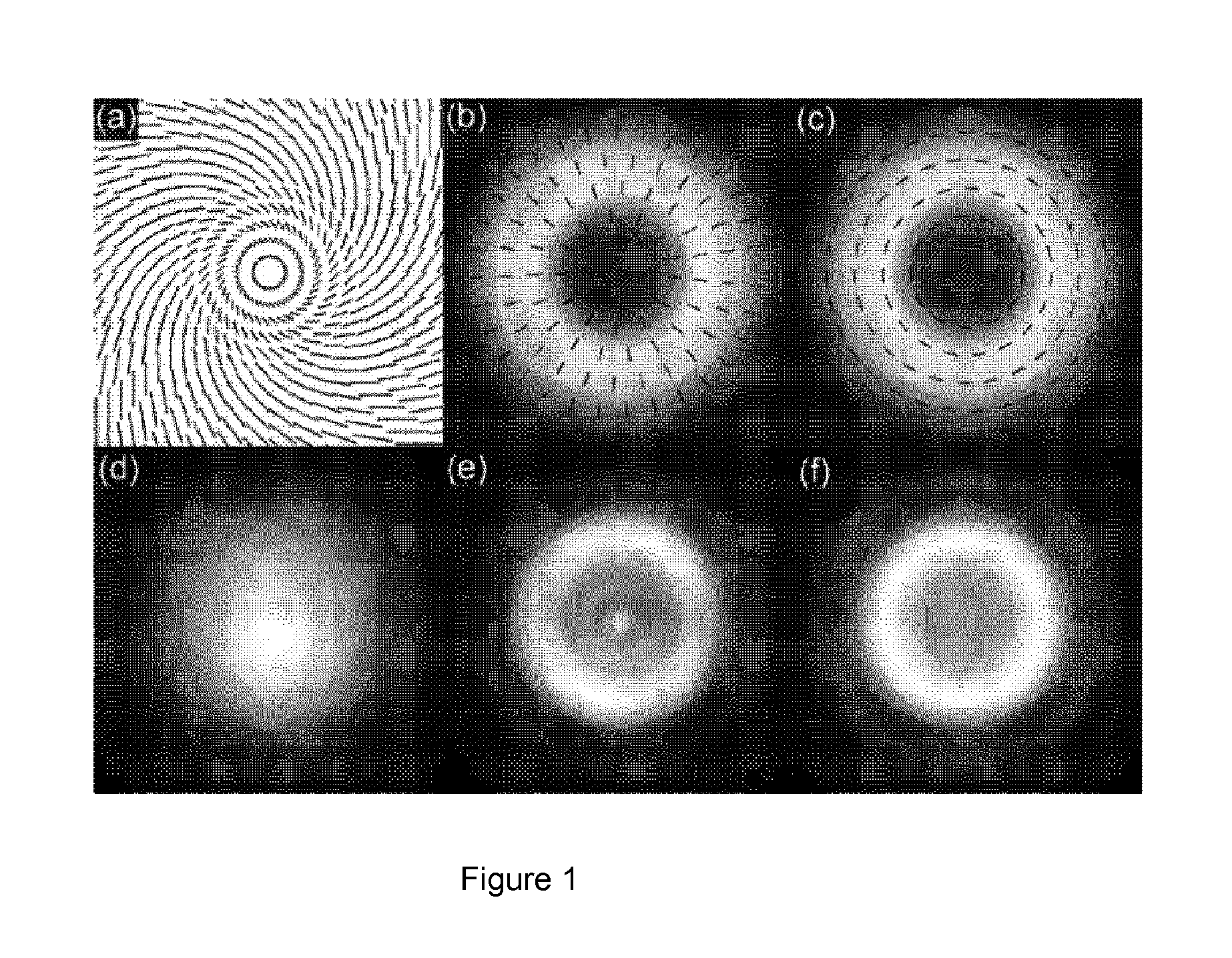 Space variant polarization converter