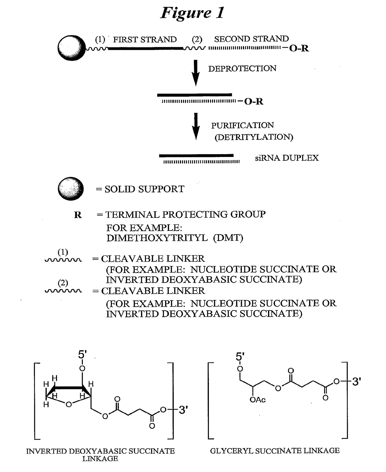 Chemically modified multifunctional short interfering nucleic acid molecules that mediate RNA interference