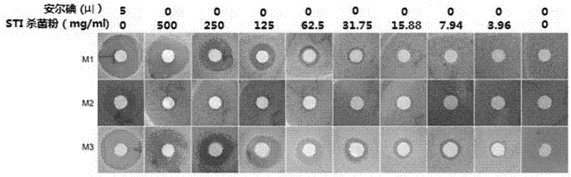 Iodine-supported skin bactericide and iodine supporting method