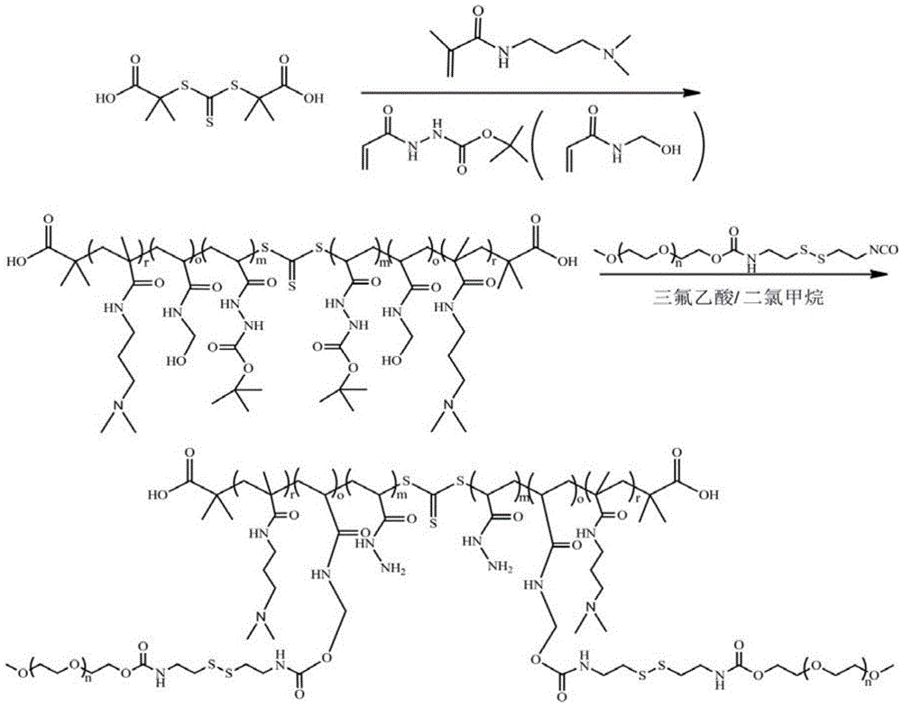 A kind of pH/reduction dual sensitive hydrophilic copolymer drug carrier and its synthesis method and application