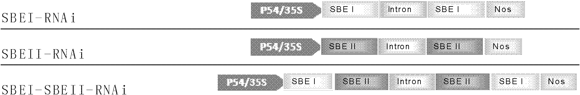 Method of adjusting content of plant amylose and amylopectin