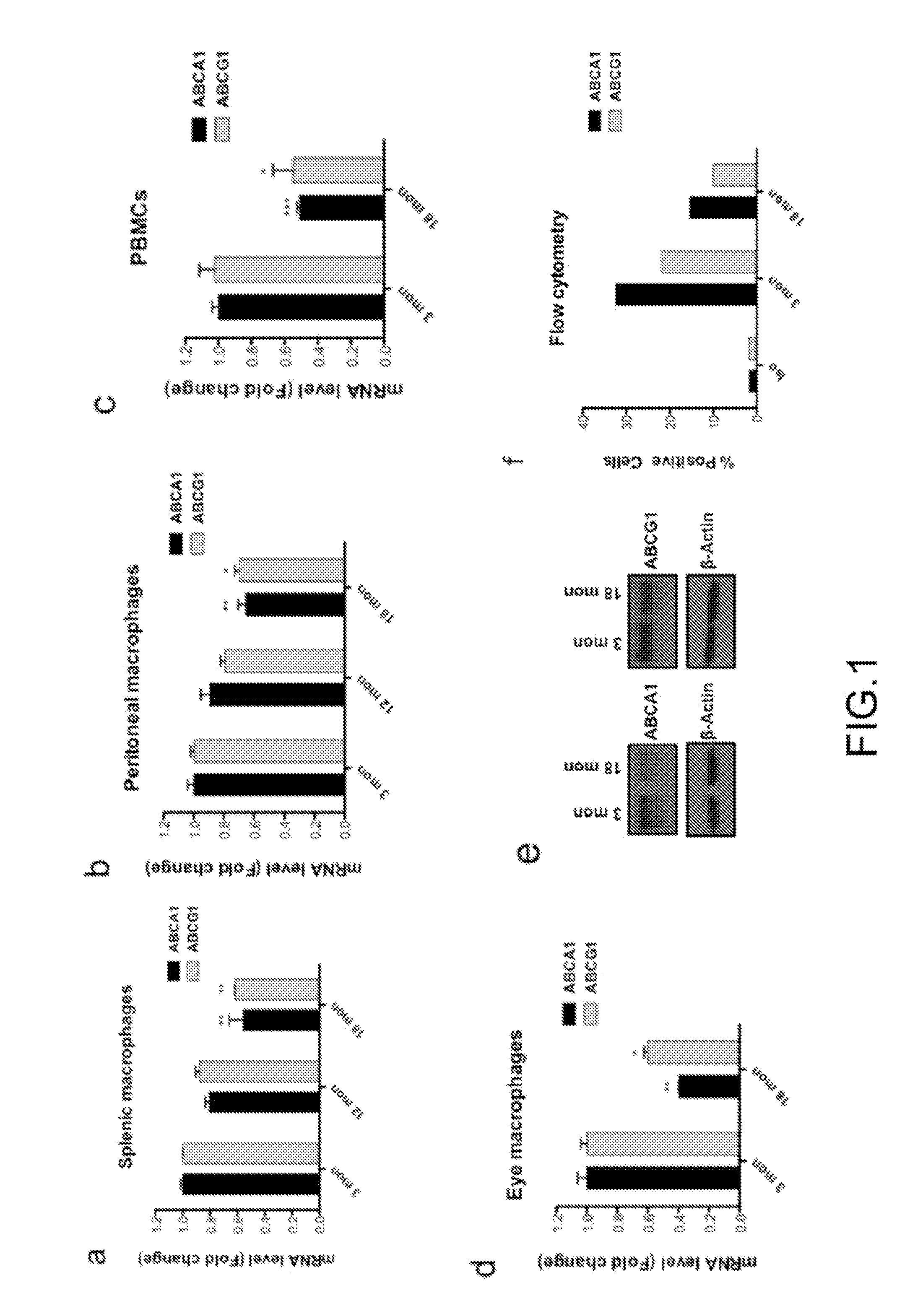 Inhibition of choroidal neovascularization