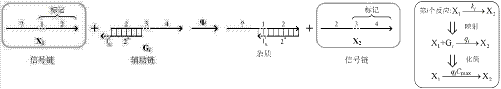 Method for implementing single-molecule chemical reaction network by DNA (deoxyribonucleic acid) strand displacement reaction