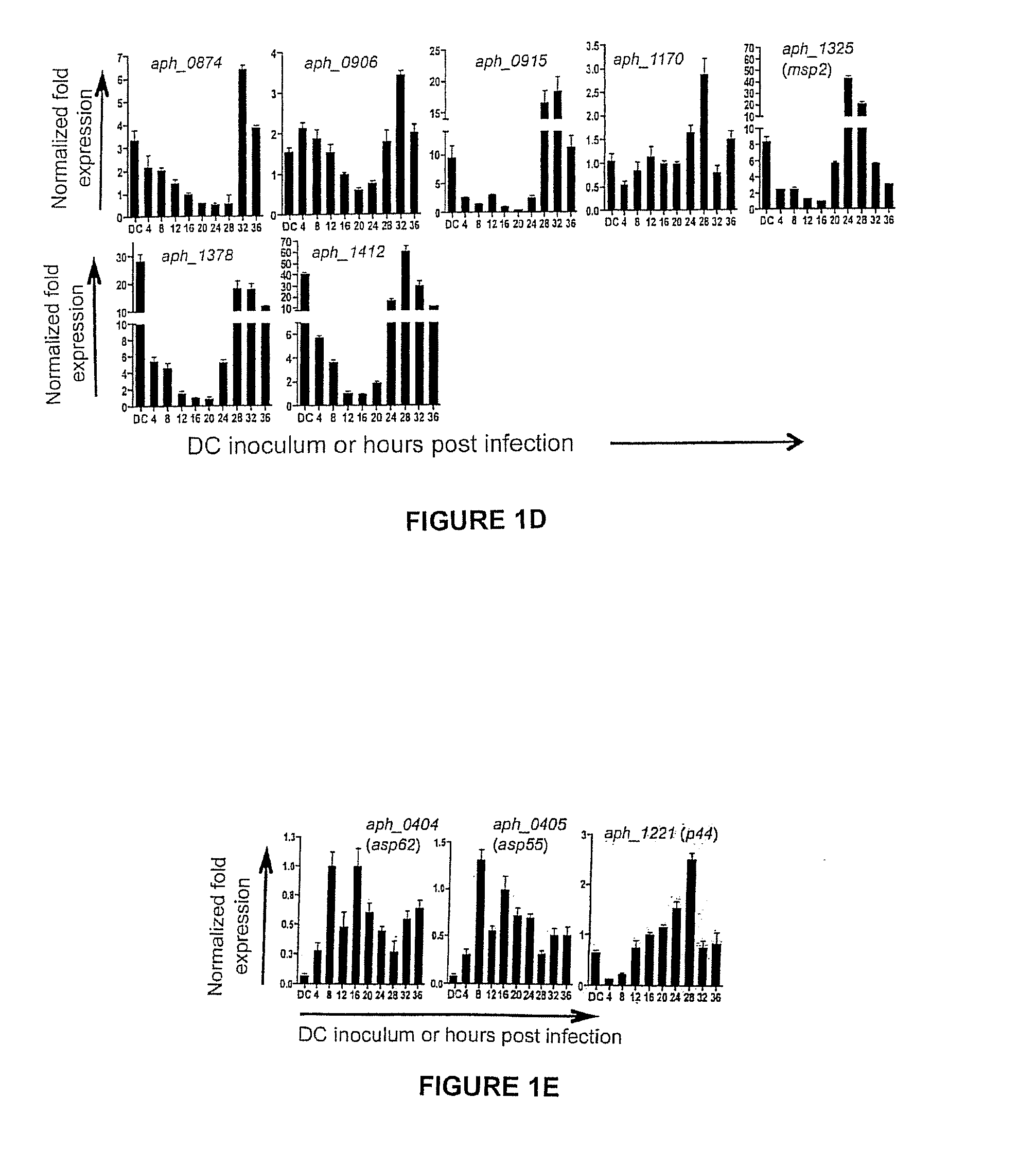 Ompa and asp14 in vaccine compositions and as diagnostic targets