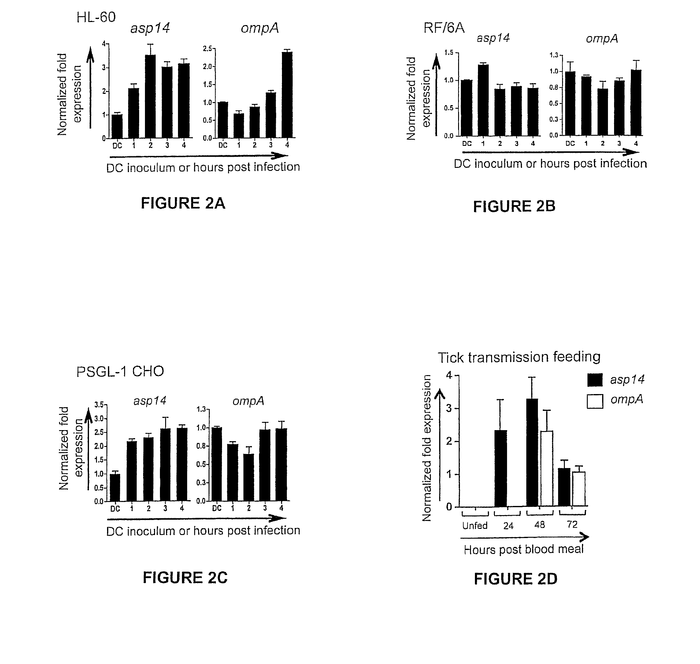 Ompa and asp14 in vaccine compositions and as diagnostic targets