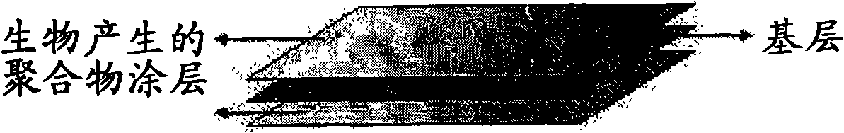 Multi-layered antiadhesion barrier