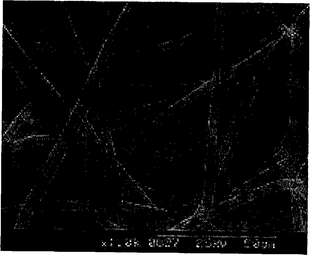 Multi-layered antiadhesion barrier