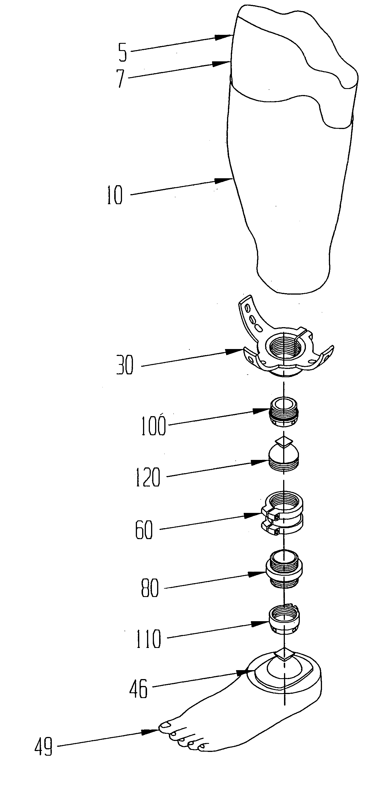 Limb with modular prosthetic components